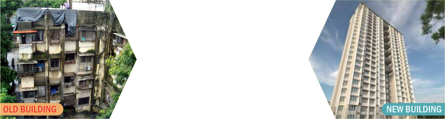 Slide Eleven